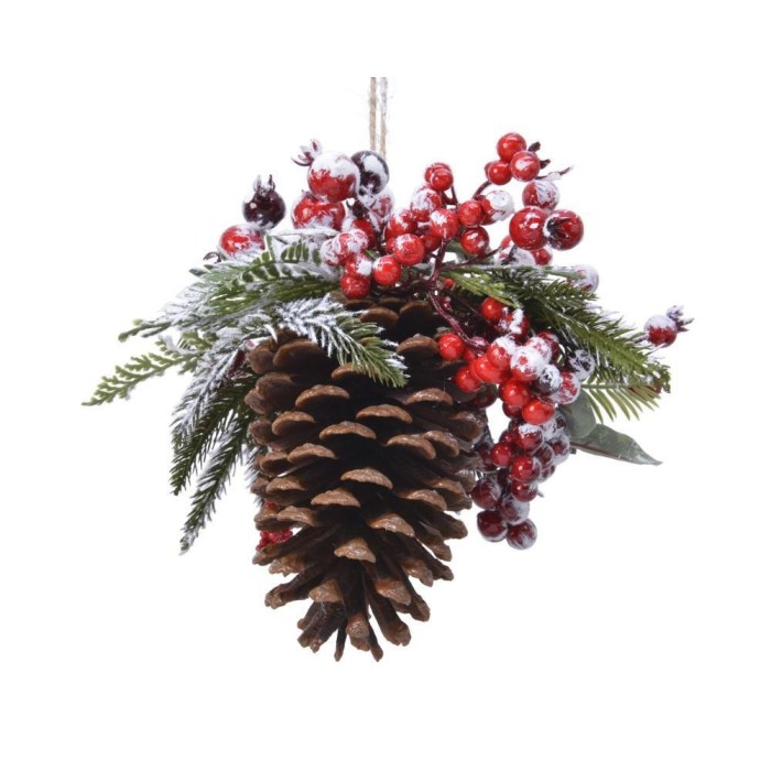 PIGNA CON BACCHE ROSSE DA APP.